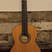 chitarra ibanez classica + custodia