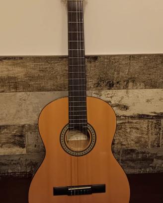 chitarra ibanez classica + custodia