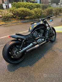 HARLEY V ROD 1250