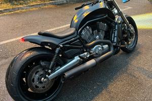 HARLEY V ROD 1250