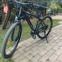 Bicicletta elettrica