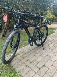 Bicicletta elettrica