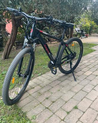 Bicicletta elettrica