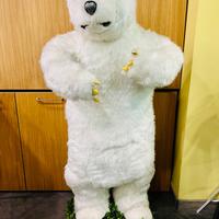 Orso polare per allestimento vetrine
