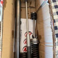 Cartucce sospensioni BMW F900R 2021