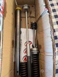 Cartucce sospensioni BMW F900R 2021