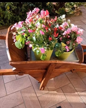 Carriola in Legno di Castagno