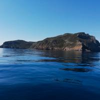CAPRAIA ISOLA - Paradiso ECOLOGICO