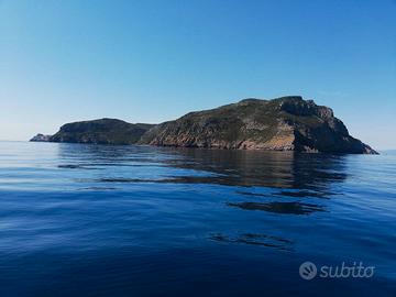 CAPRAIA ISOLA - Paradiso ECOLOGICO