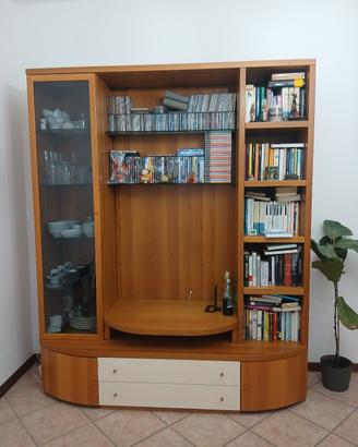 Mobile tv