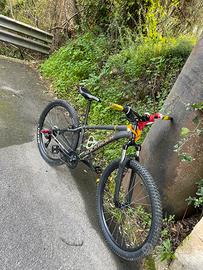ROCKRIDER ST 100