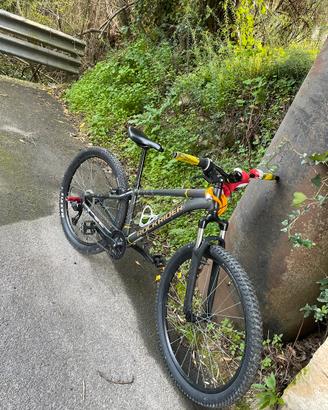 ROCKRIDER ST 100