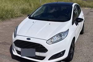 Ford Fiesta 1.4 95 CV GPL Titanium Black & White