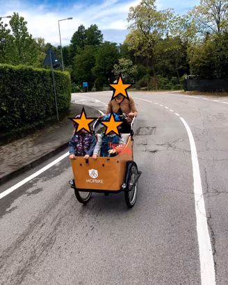 Cargo Bike