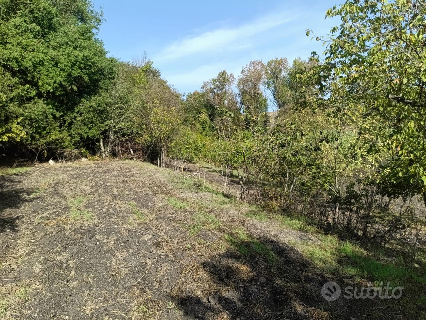 Terreno con annessi fabbricati - Vista 5