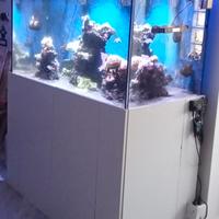 Acquario