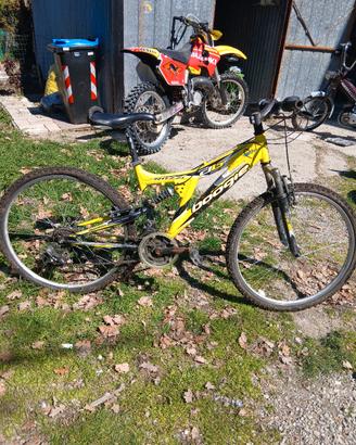 bici mtb