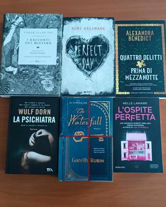 Lotto 6 libri mistero / thriller