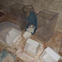 Accessori uccelli 