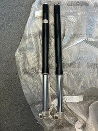 Forcelle ZF Sachs Beta enduro