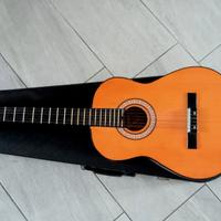 chitarra acustica