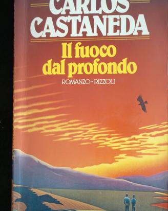 Carlos Castaneda - "Il fuoco dal profondo"