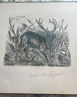 Antonio ligabue acquaforte quadro