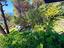 Immagine 21