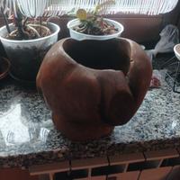 vaso in legno radica