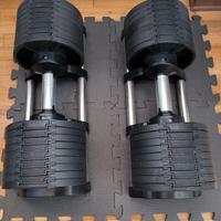 Set manubri pesi regolabili