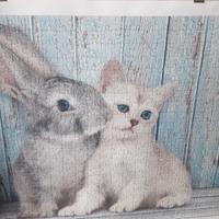 puzzle gattini 50x40cm