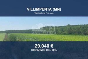 Immobile in asta di 21400 m² a Villimpenta