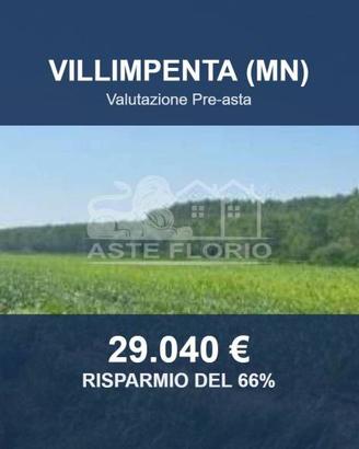Immobile in asta di 21400 m² a Villimpenta
