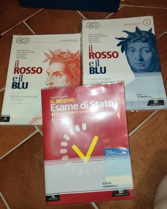 libro italiano - Il rosso e il blu dalle origini