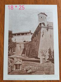 Stampa Grosseto
