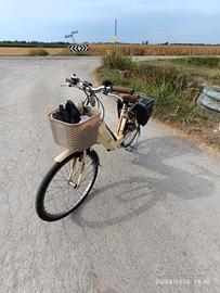 Bicicletta elettrica Francy   R 26