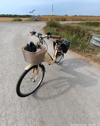 Bicicletta elettrica Francy   R 26