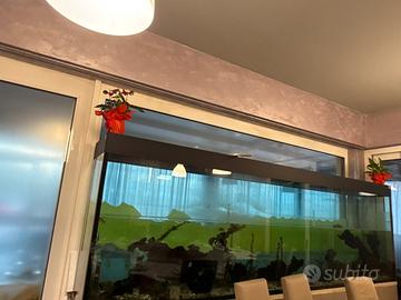 Acquario ornamentale