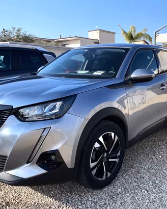 Peugeot 2008 BlueHDi 100 S&S Active