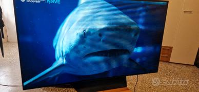 tv oled 55 lg 
