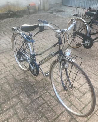 Bici da donna e da uomo