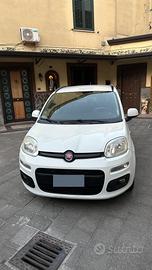 Panda bianca