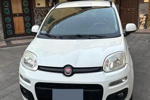 Panda bianca
