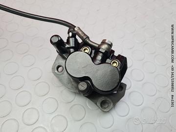 PINZA POSTERIORE TRIUMPH SPEEDMASTER 800 2003 2005