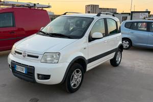 Fiat Panda 1.3 MJT 16V DPF 4x4 Climbing