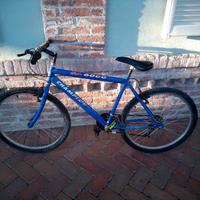 bicicletta unisex
