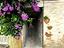 Immagine 27