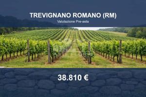 Immobile in asta di 114275 m² a Trevignano Romano