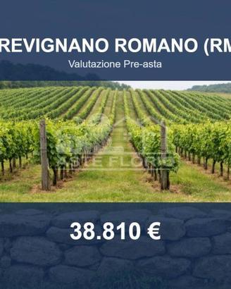 Immobile in asta di 114275 m² a Trevignano Romano