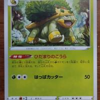 Pokémon card giapponese grotle